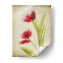 Flores De Pergamino Iii - Judy Stalus | Cuadro decorativo de Canvas Lab