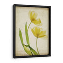 Flores De Pergamino Iv - Judy Stalus | Cuadro decorativo de Canvas Lab