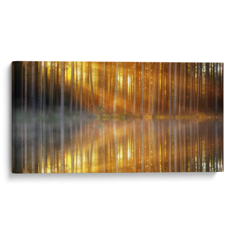 El reflejo de los troncos | Cuadro decorativo de Canvas Lab