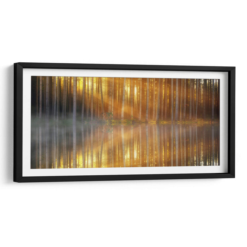 El reflejo de los troncos | Cuadro decorativo de Canvas Lab