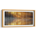 El reflejo de los troncos | Cuadro decorativo de Canvas Lab