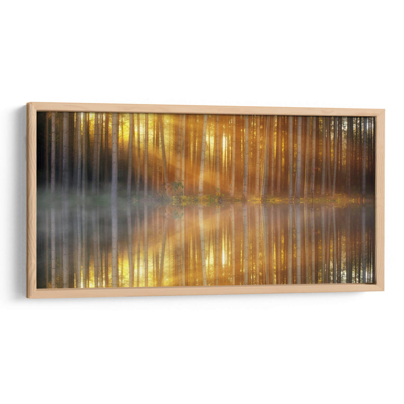 El reflejo de los troncos | Cuadro decorativo de Canvas Lab