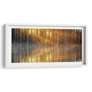 El reflejo de los troncos | Cuadro decorativo de Canvas Lab