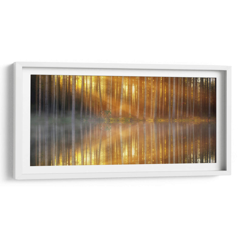 El reflejo de los troncos | Cuadro decorativo de Canvas Lab