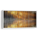 El reflejo de los troncos | Cuadro decorativo de Canvas Lab