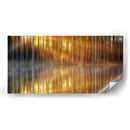 El reflejo de los troncos | Cuadro decorativo de Canvas Lab