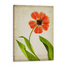 Flores De Pergamino V - Judy Stalus | Cuadro decorativo de Canvas Lab