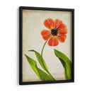 Flores De Pergamino V - Judy Stalus | Cuadro decorativo de Canvas Lab