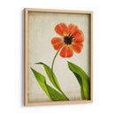 Flores De Pergamino V - Judy Stalus | Cuadro decorativo de Canvas Lab