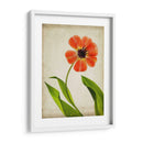 Flores De Pergamino V - Judy Stalus | Cuadro decorativo de Canvas Lab