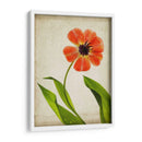 Flores De Pergamino V - Judy Stalus | Cuadro decorativo de Canvas Lab