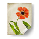 Flores De Pergamino V - Judy Stalus | Cuadro decorativo de Canvas Lab