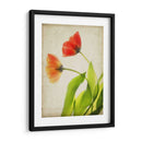 Flores De Pergamino Vi - Judy Stalus | Cuadro decorativo de Canvas Lab