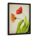 Flores De Pergamino Vi - Judy Stalus | Cuadro decorativo de Canvas Lab