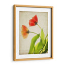 Flores De Pergamino Vi - Judy Stalus | Cuadro decorativo de Canvas Lab