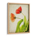 Flores De Pergamino Vi - Judy Stalus | Cuadro decorativo de Canvas Lab