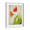 Flores De Pergamino Vi - Judy Stalus | Cuadro decorativo de Canvas Lab