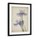 Flores De Pergamino Viii - Judy Stalus | Cuadro decorativo de Canvas Lab