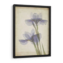 Flores De Pergamino Viii - Judy Stalus | Cuadro decorativo de Canvas Lab