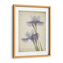 Flores De Pergamino Viii - Judy Stalus | Cuadro decorativo de Canvas Lab