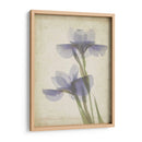 Flores De Pergamino Viii - Judy Stalus | Cuadro decorativo de Canvas Lab