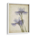 Flores De Pergamino Viii - Judy Stalus | Cuadro decorativo de Canvas Lab