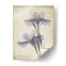 Flores De Pergamino Viii - Judy Stalus | Cuadro decorativo de Canvas Lab