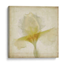 Flores De Pergamino Ix - Judy Stalus | Cuadro decorativo de Canvas Lab