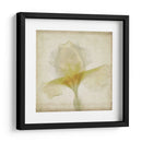 Flores De Pergamino Ix - Judy Stalus | Cuadro decorativo de Canvas Lab