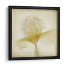 Flores De Pergamino Ix - Judy Stalus | Cuadro decorativo de Canvas Lab