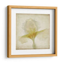 Flores De Pergamino Ix - Judy Stalus | Cuadro decorativo de Canvas Lab