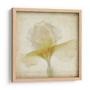 Flores De Pergamino Ix - Judy Stalus | Cuadro decorativo de Canvas Lab