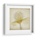 Flores De Pergamino Ix - Judy Stalus | Cuadro decorativo de Canvas Lab