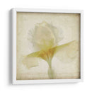 Flores De Pergamino Ix - Judy Stalus | Cuadro decorativo de Canvas Lab