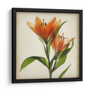 Flores De Pergamino X - Judy Stalus | Cuadro decorativo de Canvas Lab