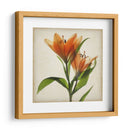 Flores De Pergamino X - Judy Stalus | Cuadro decorativo de Canvas Lab