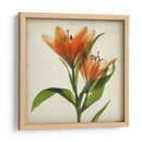 Flores De Pergamino X - Judy Stalus | Cuadro decorativo de Canvas Lab