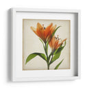 Flores De Pergamino X - Judy Stalus | Cuadro decorativo de Canvas Lab