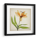 Flores De Pergamino Xi - Judy Stalus | Cuadro decorativo de Canvas Lab