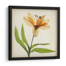 Flores De Pergamino Xi - Judy Stalus | Cuadro decorativo de Canvas Lab