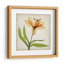 Flores De Pergamino Xi - Judy Stalus | Cuadro decorativo de Canvas Lab