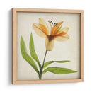 Flores De Pergamino Xi - Judy Stalus | Cuadro decorativo de Canvas Lab