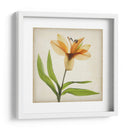 Flores De Pergamino Xi - Judy Stalus | Cuadro decorativo de Canvas Lab