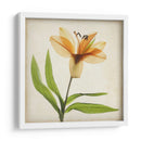 Flores De Pergamino Xi - Judy Stalus | Cuadro decorativo de Canvas Lab