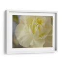 Rose Whisper I - Judy Stalus | Cuadro decorativo de Canvas Lab