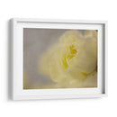 Rose Whisper Ii - Judy Stalus | Cuadro decorativo de Canvas Lab