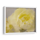 Rose Whisper Iii - Judy Stalus | Cuadro decorativo de Canvas Lab