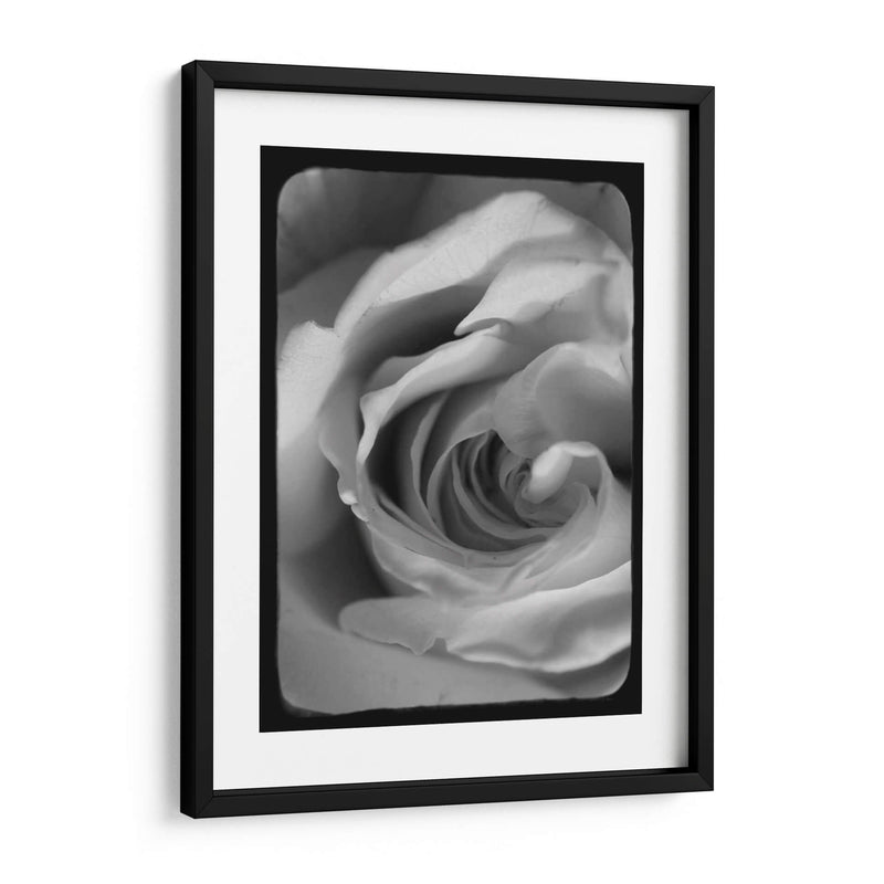 Espiral Rosa I - Judy Stalus | Cuadro decorativo de Canvas Lab