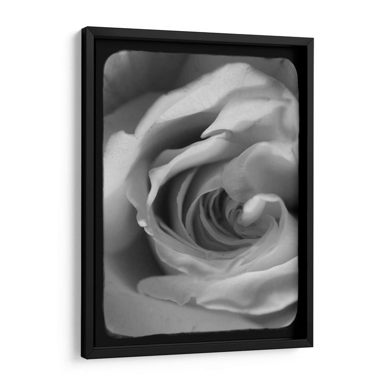 Espiral Rosa I - Judy Stalus | Cuadro decorativo de Canvas Lab