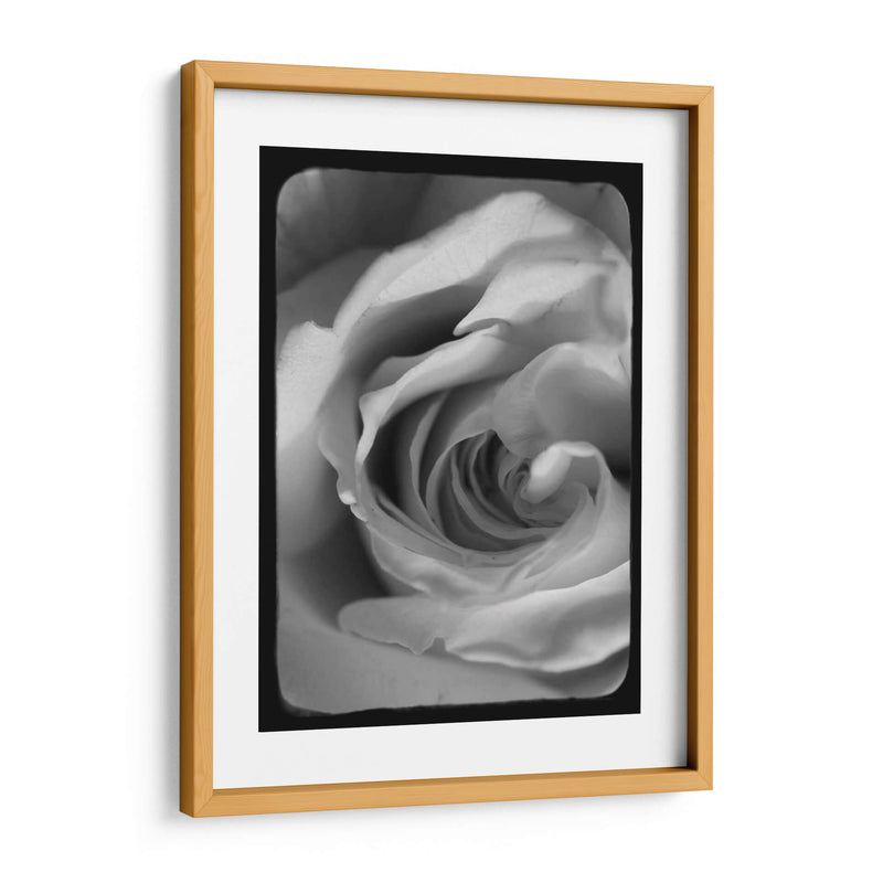 Espiral Rosa I - Judy Stalus | Cuadro decorativo de Canvas Lab